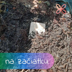 Kompostovateľné obaly.