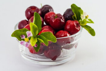Acerola